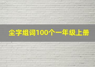 尘字组词100个一年级上册