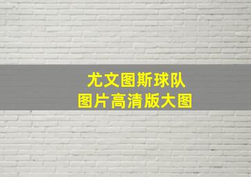 尤文图斯球队图片高清版大图