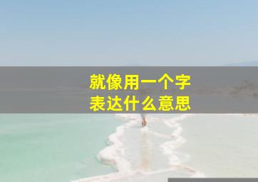 就像用一个字表达什么意思