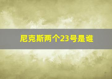 尼克斯两个23号是谁