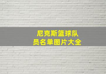 尼克斯篮球队员名单图片大全