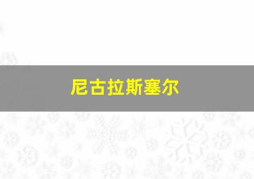 尼古拉斯塞尔