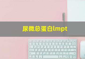 尿微总蛋白lmpt