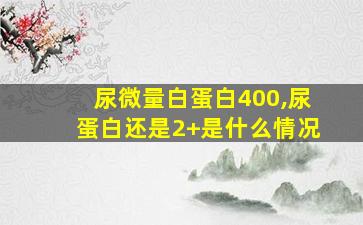 尿微量白蛋白400,尿蛋白还是2+是什么情况