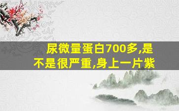 尿微量蛋白700多,是不是很严重,身上一片紫