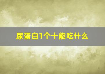 尿蛋白1个十能吃什么