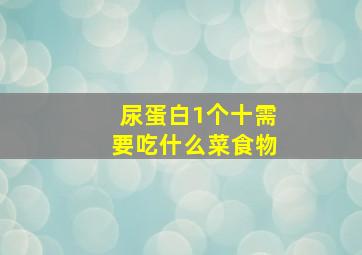 尿蛋白1个十需要吃什么菜食物