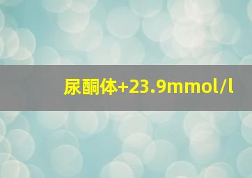 尿酮体+23.9mmol/l