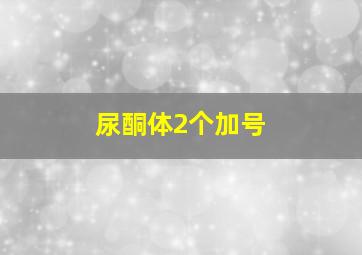 尿酮体2个加号