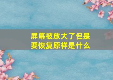 屏幕被放大了但是要恢复原样是什么