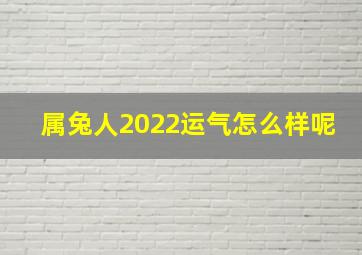 属兔人2022运气怎么样呢