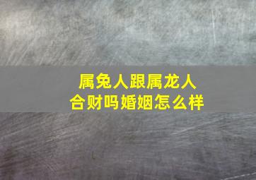 属兔人跟属龙人合财吗婚姻怎么样