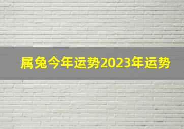 属兔今年运势2023年运势