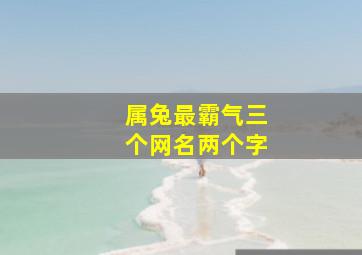 属兔最霸气三个网名两个字