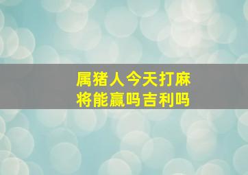 属猪人今天打麻将能赢吗吉利吗