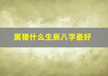 属猪什么生辰八字最好