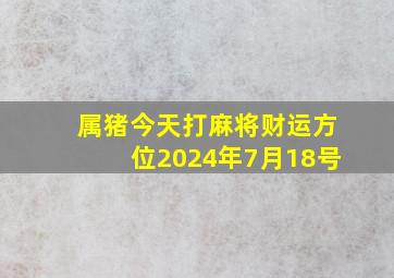 属猪今天打麻将财运方位2024年7月18号