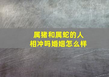 属猪和属蛇的人相冲吗婚姻怎么样