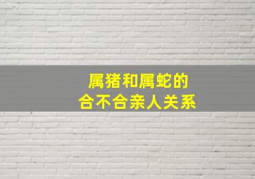 属猪和属蛇的合不合亲人关系