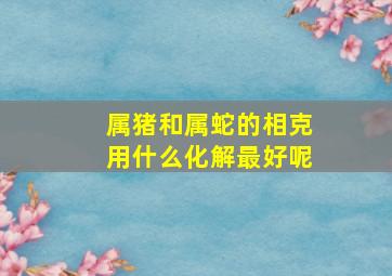 属猪和属蛇的相克用什么化解最好呢