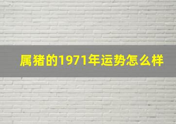 属猪的1971年运势怎么样