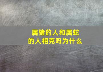 属猪的人和属蛇的人相克吗为什么