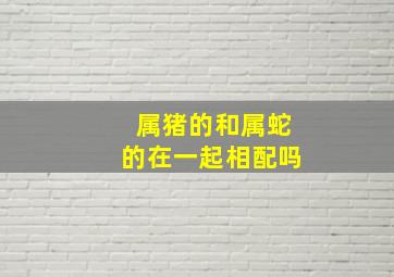 属猪的和属蛇的在一起相配吗