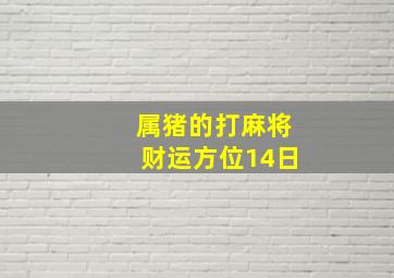 属猪的打麻将财运方位14日