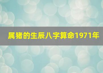 属猪的生辰八字算命1971年