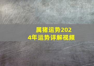 属猪运势2024年运势详解视频