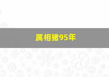 属相猪95年