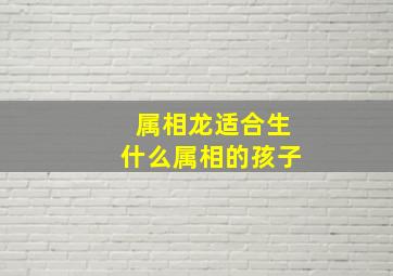 属相龙适合生什么属相的孩子