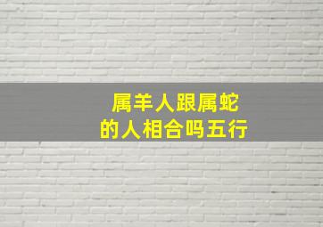 属羊人跟属蛇的人相合吗五行