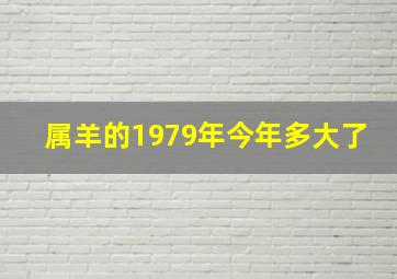 属羊的1979年今年多大了