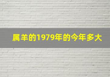 属羊的1979年的今年多大