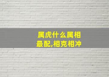 属虎什么属相最配,相克相冲