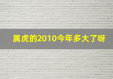 属虎的2010今年多大了呀