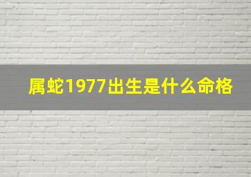 属蛇1977出生是什么命格