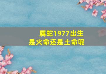 属蛇1977出生是火命还是土命呢