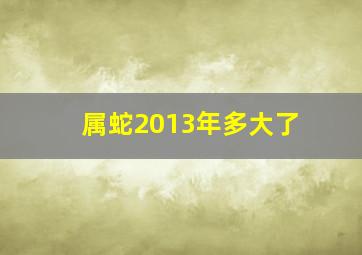 属蛇2013年多大了