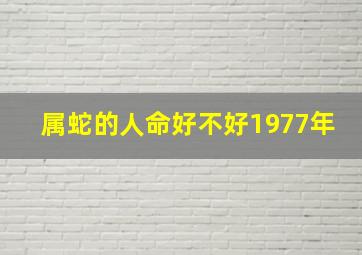 属蛇的人命好不好1977年