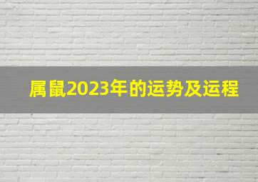 属鼠2023年的运势及运程