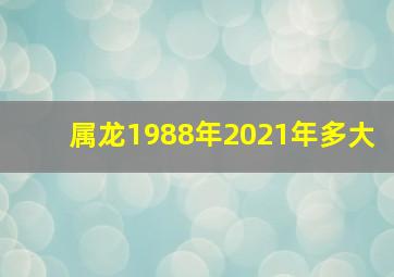 属龙1988年2021年多大