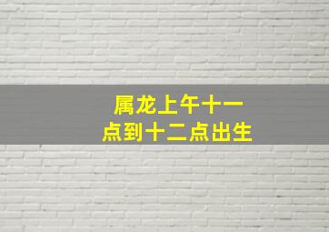 属龙上午十一点到十二点出生