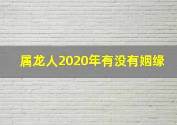 属龙人2020年有没有姻缘