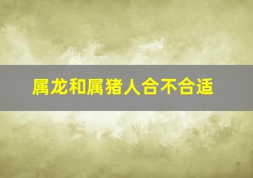 属龙和属猪人合不合适