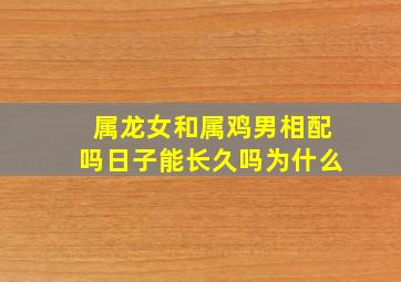 属龙女和属鸡男相配吗日子能长久吗为什么