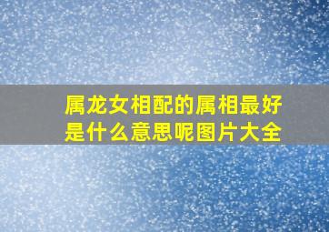 属龙女相配的属相最好是什么意思呢图片大全