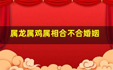 属龙属鸡属相合不合婚姻