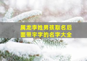 属龙李姓男孩取名后面带宇字的名字大全